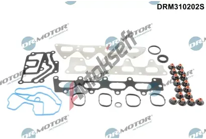 Dr.Motor Automotive Sada tsnn hlavy vlce DMA DRM310202S, DRM310202S