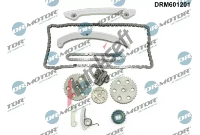 Dr.Motor Automotive Sada rozvodového řetězu DMA DRM601201, DRM601201 Dr.Motor Automotive Sada rozvodového řetězu DMA DRM601201, DRM601201