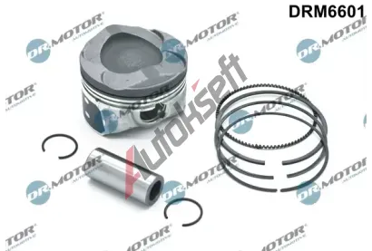 Dr.Motor Automotive Pst DMA DRM6601, DRM6601