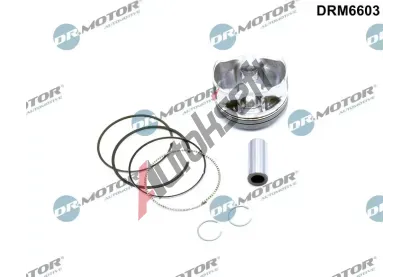 Dr.Motor Automotive Pst DMA DRM6603, DRM6603