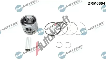 Dr.Motor Automotive Pst DMA DRM6604, DRM6604