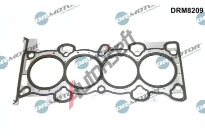 Dr.Motor Automotive Tsnn hlavy vlce DMA DRM8209, DRM8209