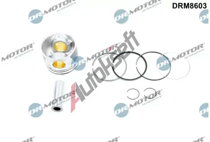 Dr.Motor Automotive Pst DMA DRM8603, DRM8603