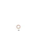 DRI Brzdov� t�men&nbsp;&dash;&nbsp;DRI 4120600
