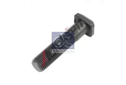 DT Šroub kola DT 1.17039, 1.17039 DT Šroub kola DT 1.17039, 1.17039