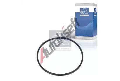 DT Těsnící kroužek DT 1.17093, 1.17093 DT Těsnící kroužek DT 1.17093, 1.17093