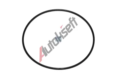 DT Těsnící kroužek DT 10.30657, 10.30657 DT Těsnící kroužek DT 10.30657, 10.30657