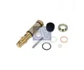 DT Opravn� sada nakl�p�c� pumpy DT 2.97128, 2.97128
