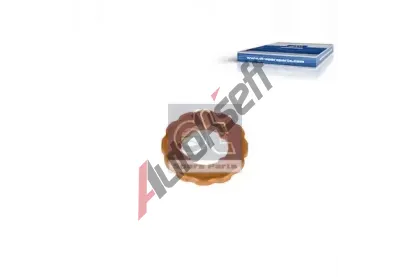 DT Těsnění držáku trysky DT 3.20024, 3.20024 DT Těsnění držáku trysky DT 3.20024, 3.20024