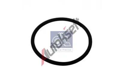 DT Těsnící kroužek DT 4.20133, 4.20133 DT Těsnící kroužek DT 4.20133, 4.20133