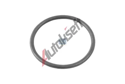 DT Těsnící kroužek DT 4.20312, 4.20312 DT Těsnící kroužek DT 4.20312, 4.20312