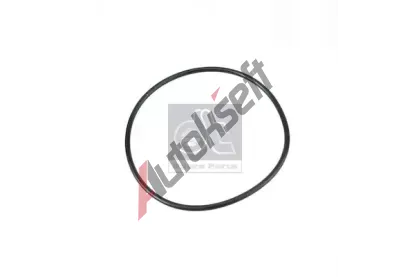 DT Těsnící kroužek DT 4.20329, 4.20329 DT Těsnící kroužek DT 4.20329, 4.20329