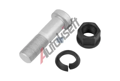 DT Šroub kola DT 4.91239, 4.91239 DT Šroub kola DT 4.91239, 4.91239