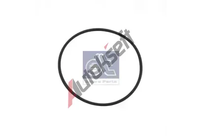 DT Těsnící kroužek DT 5.41034, 5.41034 DT Těsnící kroužek DT 5.41034, 5.41034