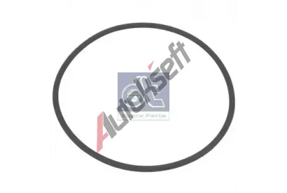 DT Těsnící kroužek DT 6.89204, 6.89204 DT Těsnící kroužek DT 6.89204, 6.89204