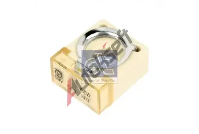 DT Pojistka DT 9.69124, 9.69124