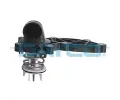 DAYCO Termostat chladiva ‐ DY DT1068F