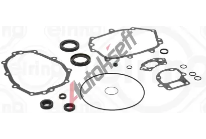 ELRING Sada tsnn pevodovky ELR 089.681, 089.681