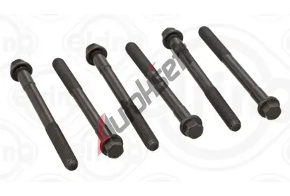 ELRING Sada roub pro hlavy vlc ELR 125.990, 125.990
