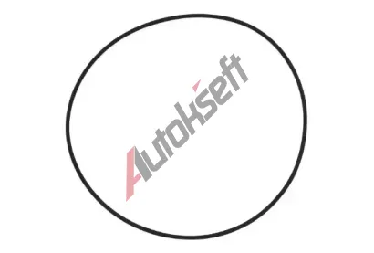 ELRING Těsnící kroužek ELR 126.001, 126.001 ELRING Těsnící kroužek ELR 126.001, 126.001