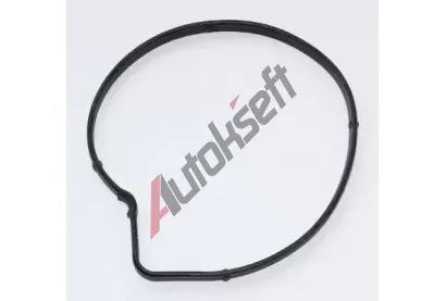 ELRING Tsnn vodnho erpadla ELR 130.490, 130.490