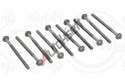 ELRING Sada roub pro hlavy vlc ELR 132.180, 132.180