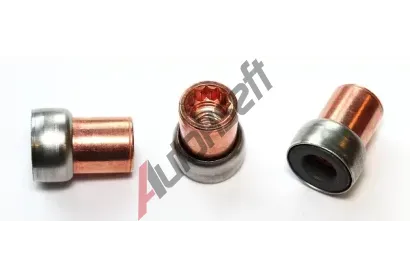 ELRING Bezpenostn matice ELR 246.180, 246.180