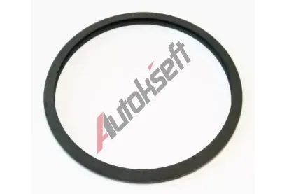 ELRING T�sn�n� dmychadla ELR 388.710, 388.710