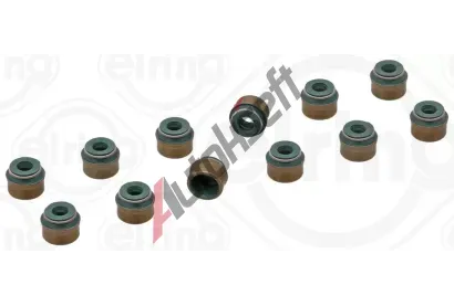 ELRING Sada tsnn - dk ventilu ELR 424.780, 424.780