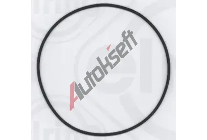 ELRING T�sn�c� krou�ek ELR 429.080, 429.080