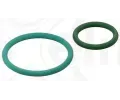 Sada tsnn vstikovacho erpadla ELRING ‐ ELR 455.290