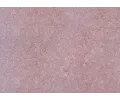 Tsnn z pevnho materilu ELRING ‐ ELR 485.659