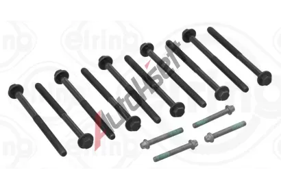 ELRING Sada roub pro hlavy vlc ELR 509.710, 509.710