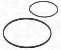 Sada tsnn, podtlakov pumpa ELRING ‐ ELR 522.900
