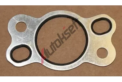 ELRING T�sn�n� nap�na�e rozvodov�ho �et�zu ELR 577.960, 577.960