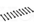 Sada roub pro hlavy vlc ELRING ‐ ELR 707.700