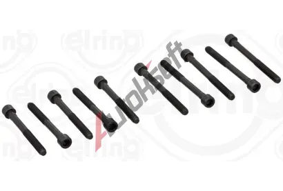 ELRING Sada roub pro hlavy vlc ELR 708.270, 708.270