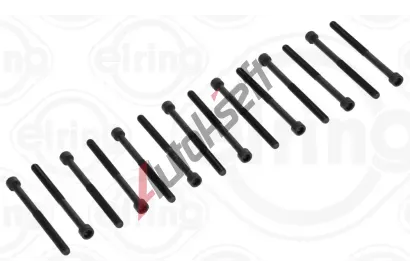 ELRING Sada roub pro hlavy vlc ELR 709.500, 709.500