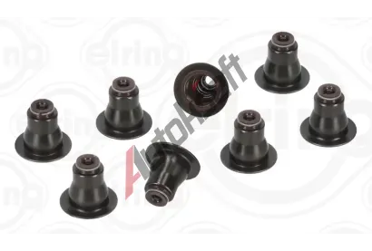 ELRING Sada tsnn dku ventilu ELR 710.840, 710.840