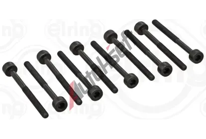 ELRING Sada roub pro hlavy vlc ELR 711.800, 711.800