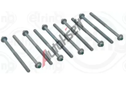 ELRING Sada �roub� pro hlavy v�lc� ELR 718.630, 718.630