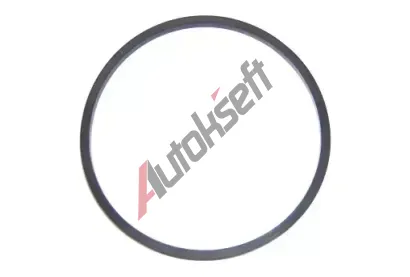 ELRING T�snic� krou�ek, palivov� filtr ELR 731.269, 731.269