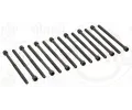 Sada roub pro hlavy vlc ELRING ‐ ELR 794.480