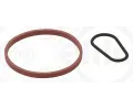 Sada tsnn, podtlakov pumpa ELRING ‐ ELR 795.110