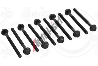 ELRING Sada roub pro hlavy vlc ELR 806.710, 806.710