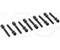 ELRING Sada roub pro hlavy vlc ‐ ELR 819.808