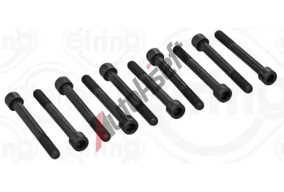 ELRING Sada roub pro hlavy vlc ELR 819.832, 819.832