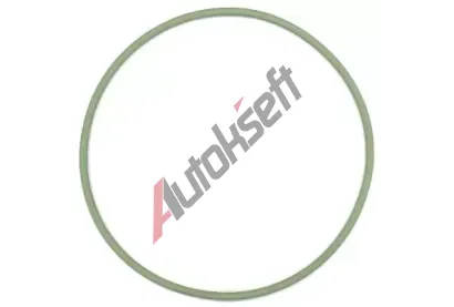 ELRING Tesnici krouzek, vlozka valce ELR 825.751, 825.751