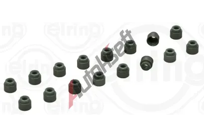 ELRING Sada tsnn dku ventilu ELR 841.300, 841.300