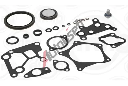 ELRING Sada t�sn�n� klikov� sk��n� ELR 910.720, 910.720